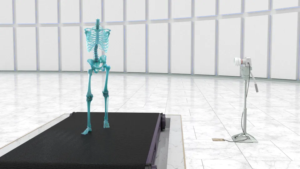 Skeleton walking on a treadmill